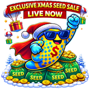 SockCoin Christmas seed sale banner — “Live Now” — sock mascot with Santa hat, SEED bags, coins.